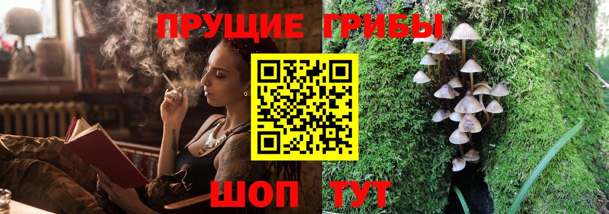 купить наркотик  Псилоцибиновые грибы GOLDEN TEACHER  Вход с VPN  Галлюциногенные грибы Psilocybe  Дубна 